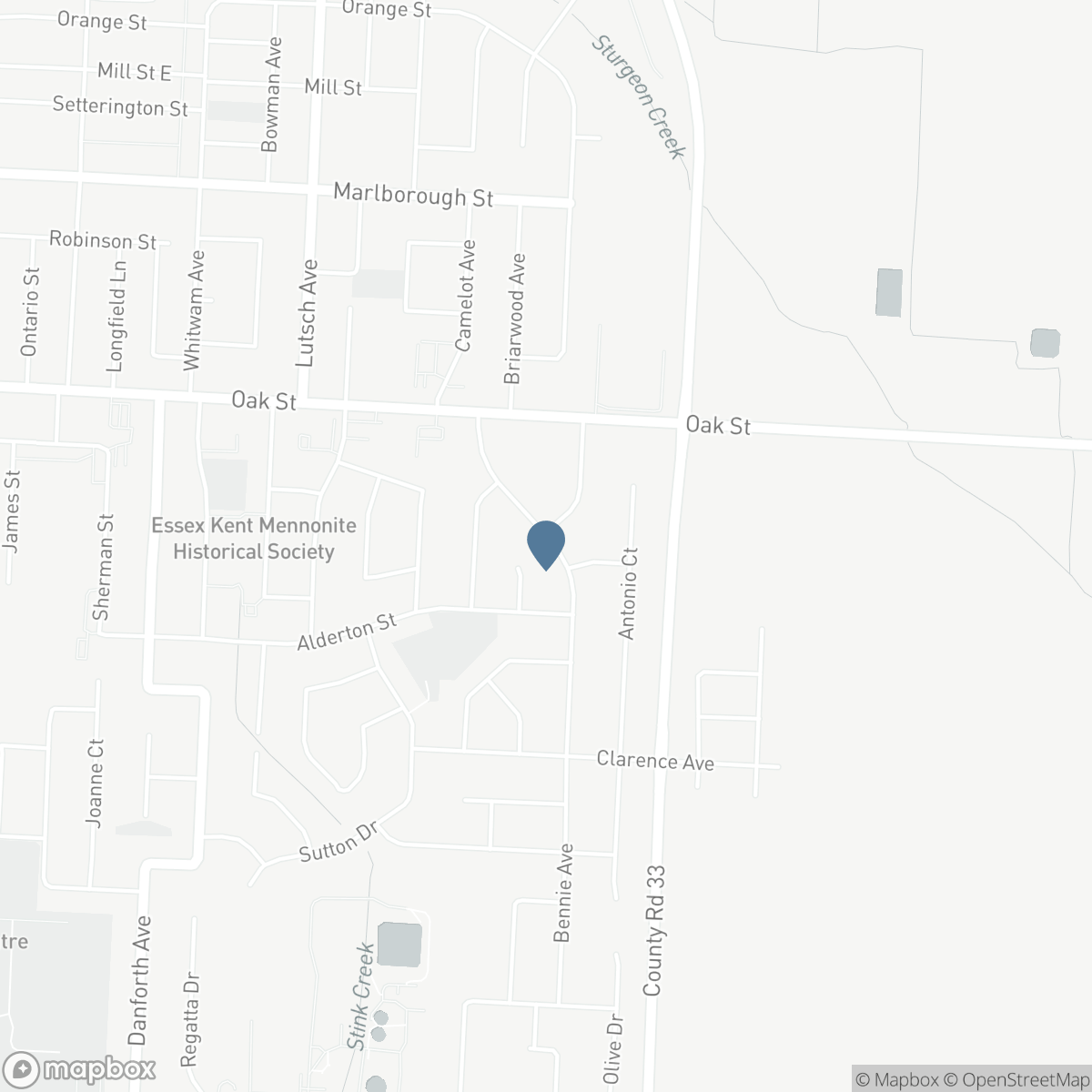 33 BENNIE AVENUE, Leamington, Ontario N8H 4M2